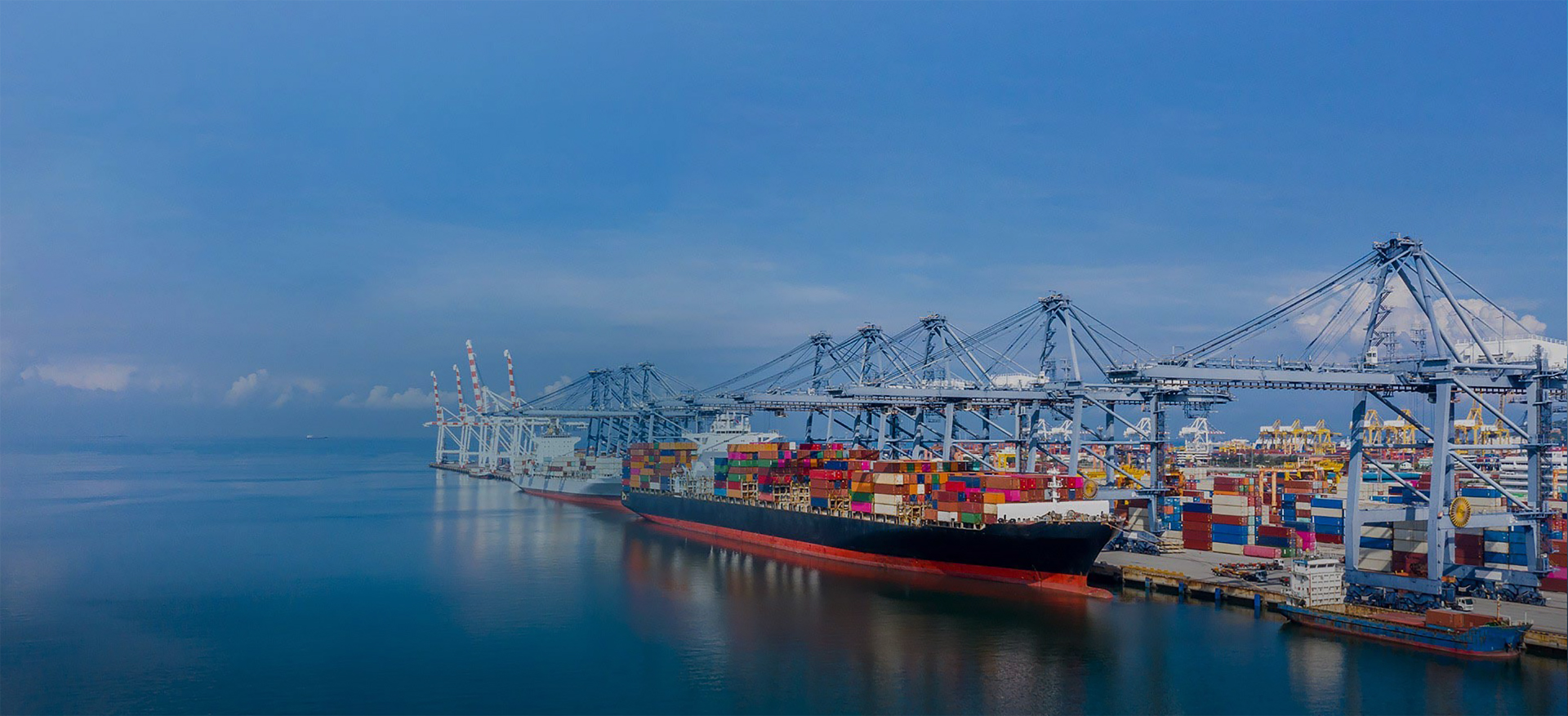 International Supply Chain